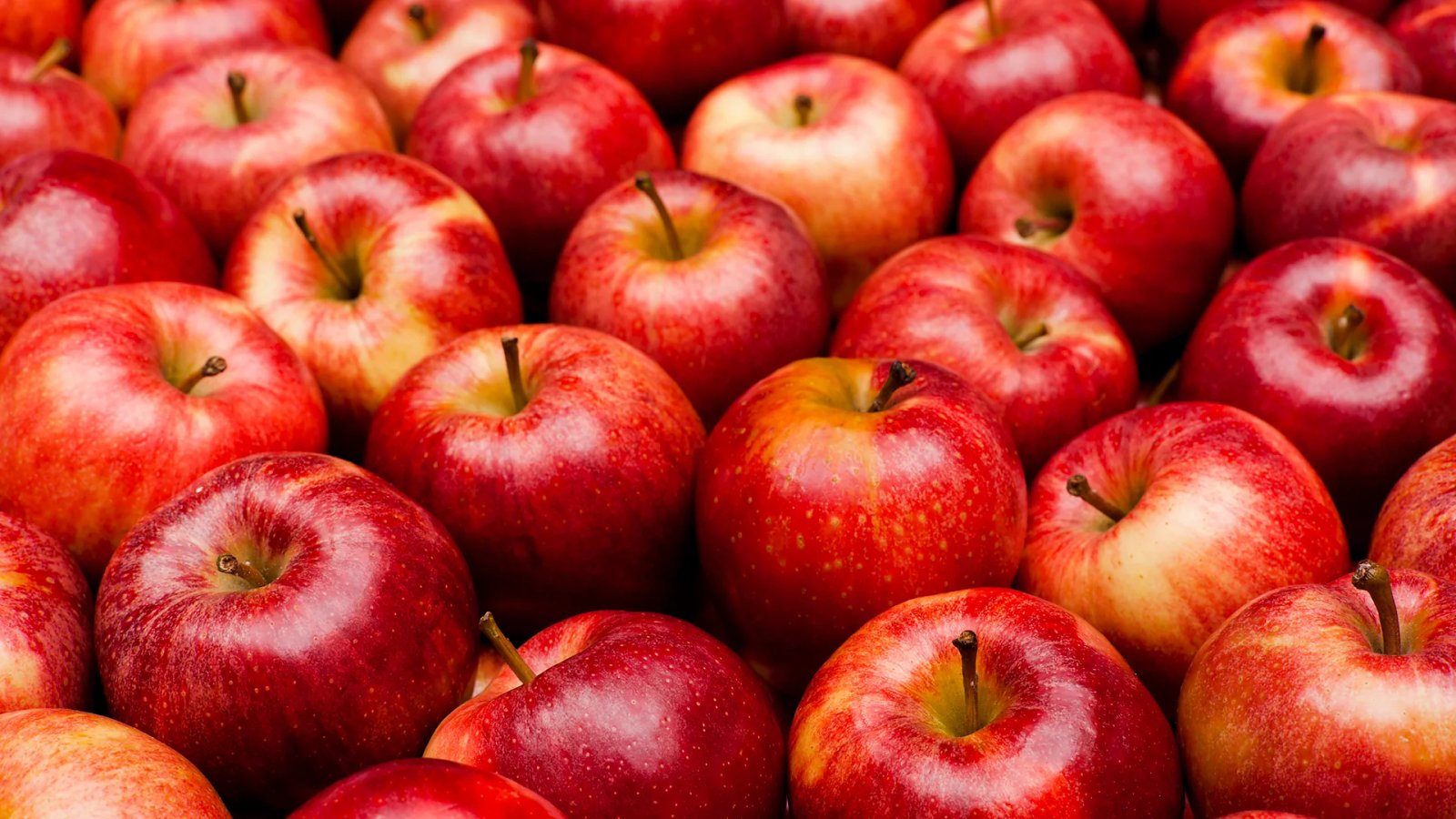  Apples export to USA 