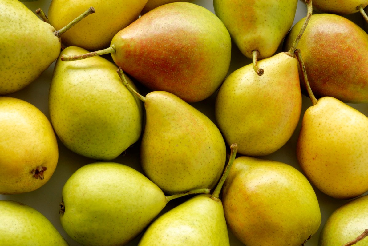  Pears export to USA 