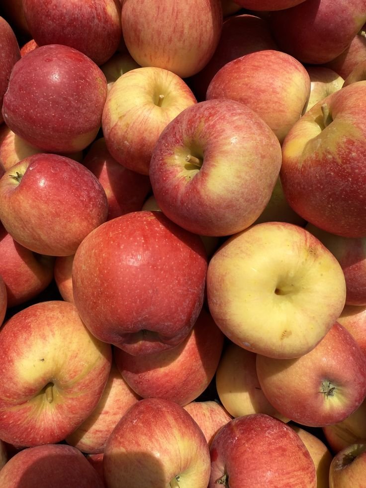 Fresh Fruit Sourcing